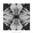 Basecamp - 2 Thingz Basecamp - 2 Thingz